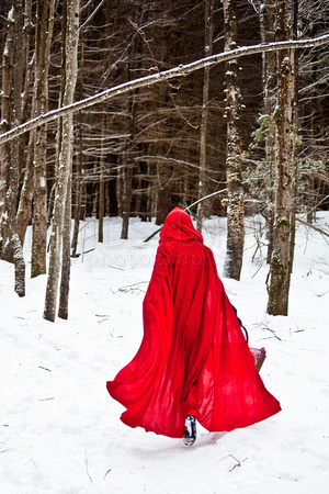 Little Red Riding Hood In Winter